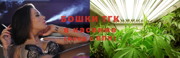 дурь Богородицк