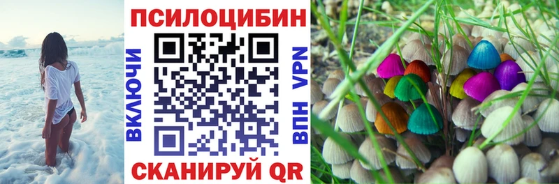 Псилоцибиновые грибы прущие грибы  хочу наркоту  Ессентукская 
